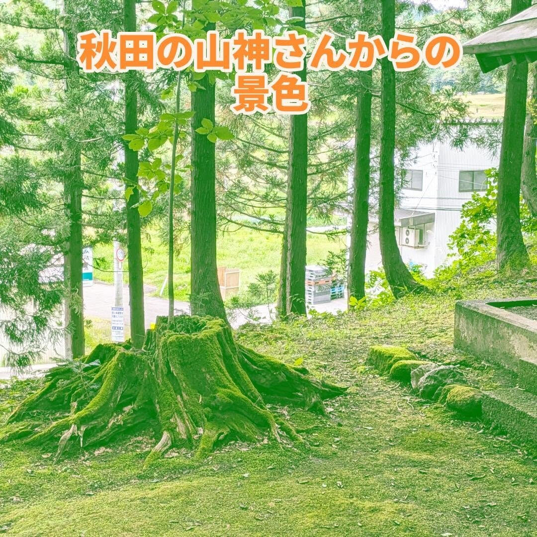 予定休日のお知らせです